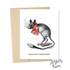 animal holiday cards, unique Christmas card set, animal illustrations, funny christmas cards, variety pack of cards